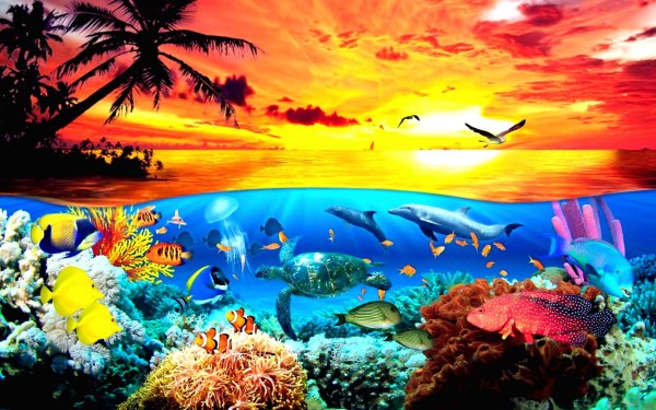 подводный мир