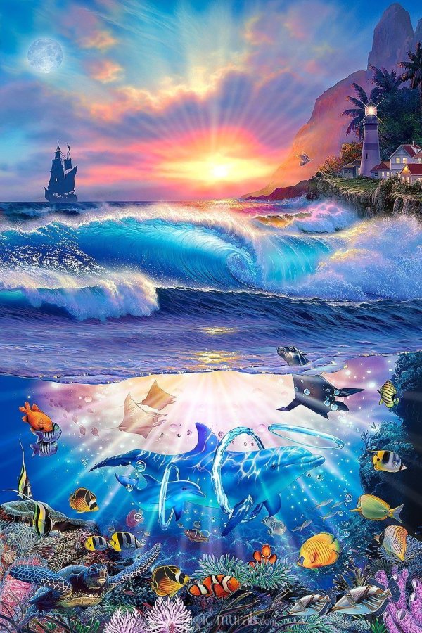 подводный мир дельфины