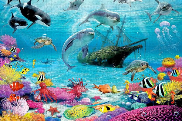 морские обитатели