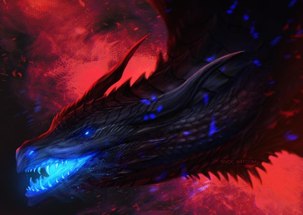 арты драконов