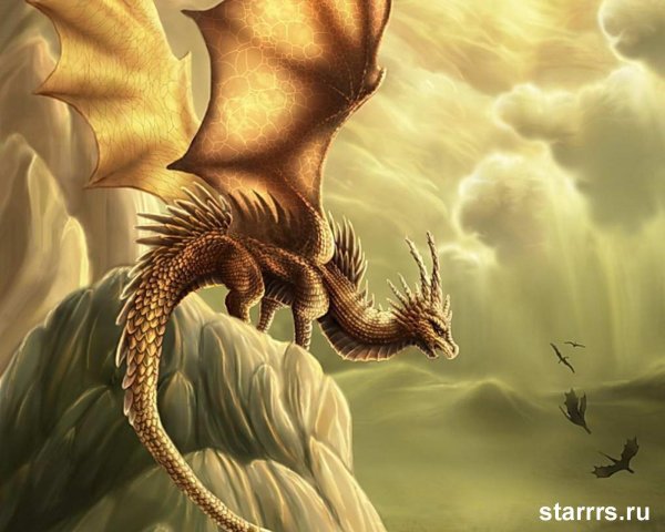 красивые драконы