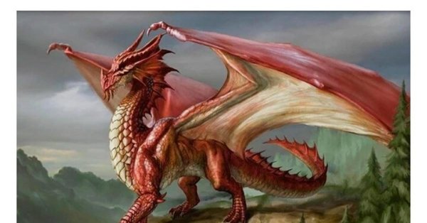 драконы в доме дракона