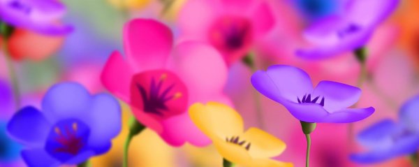 мелкие разноцветные цветочки