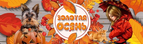 баннер осень