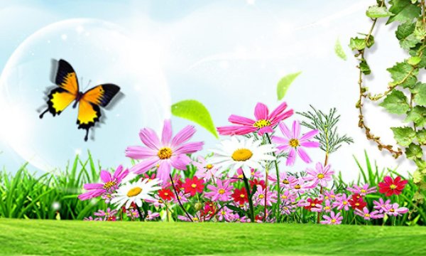 летние фоны