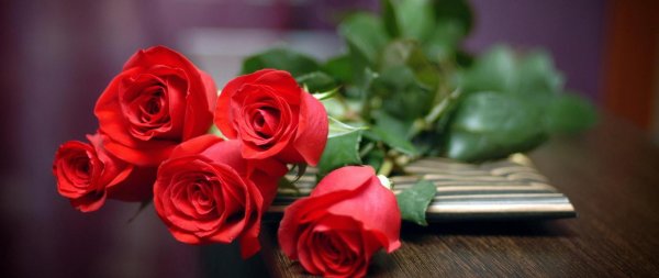 красная роза