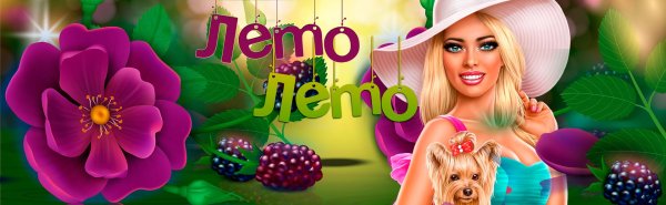 здравствуй лето