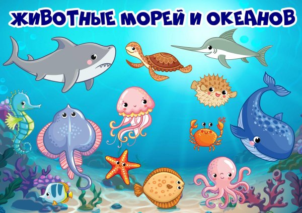 животные морей и океанов для детей