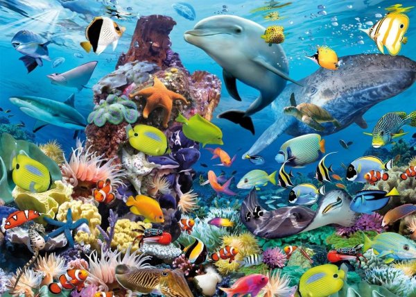 фотообои морские обитатели