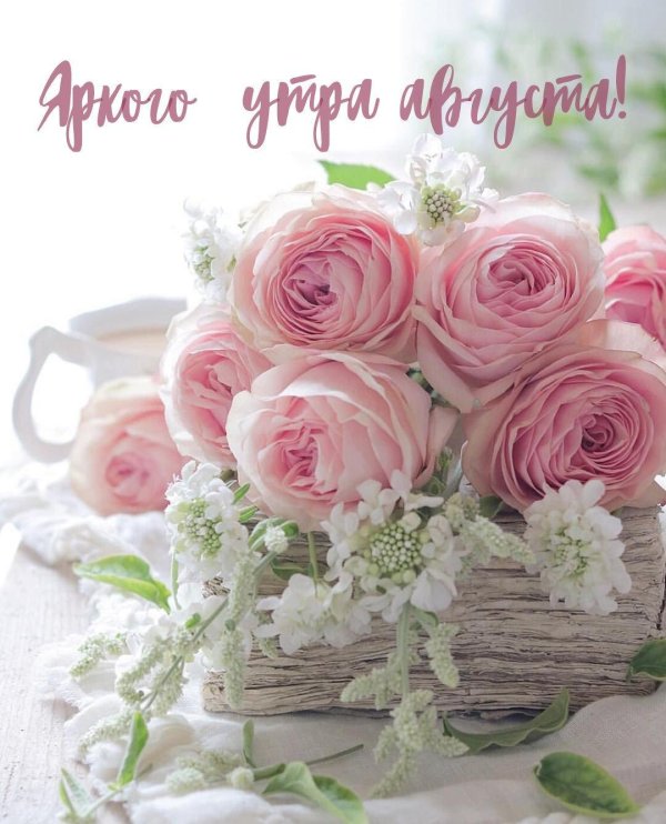 ранункулюс шебби шик