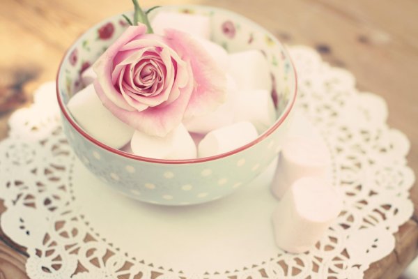 бонжорно зефир