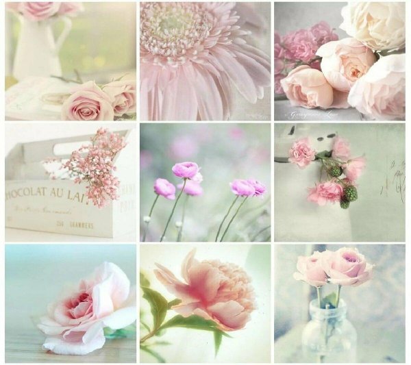 цветочки для коллажа