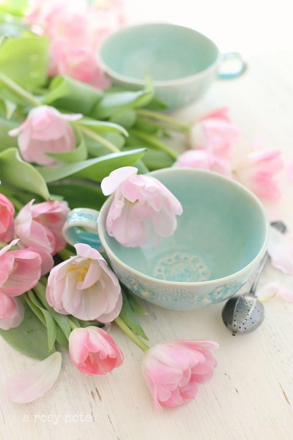 доброе утро палитра