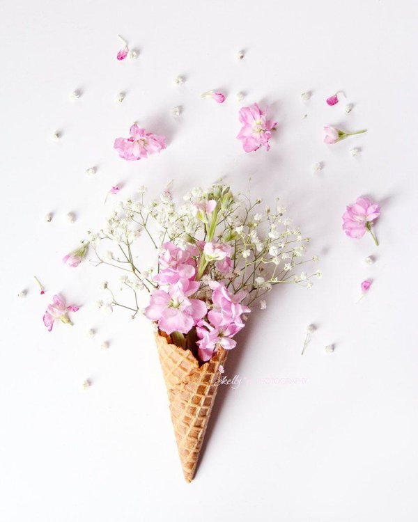 рожок мороженого