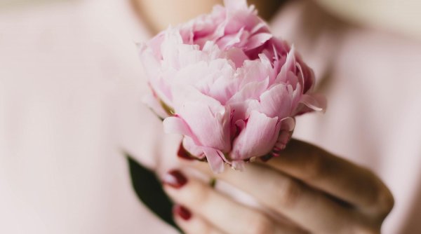 розовые пионы