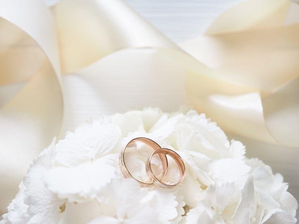 свадьба обручальные кольца