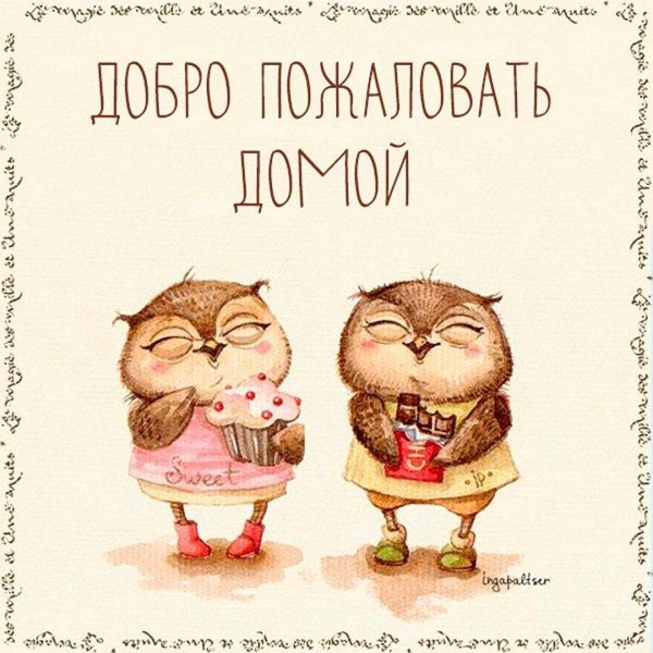 совушки пельтцер