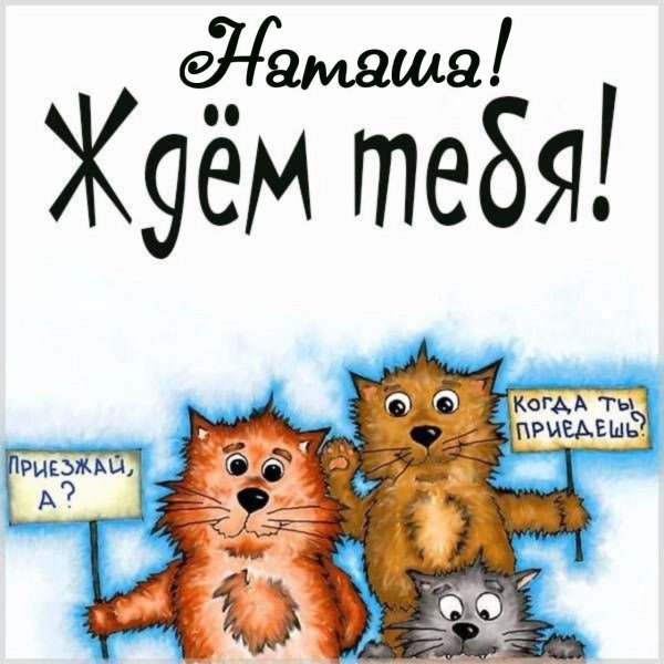 мы ждем тебя