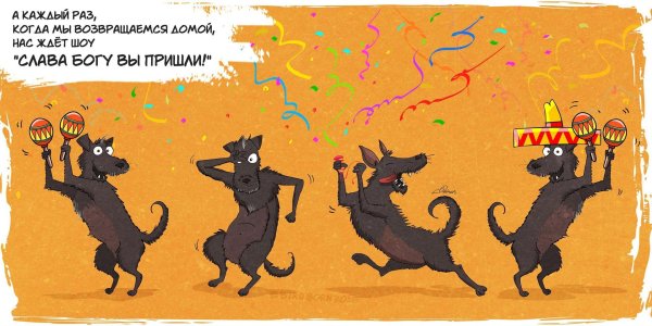 пес смешной