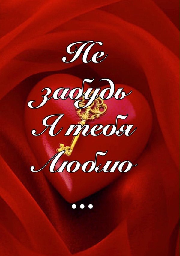 ты мое счастье