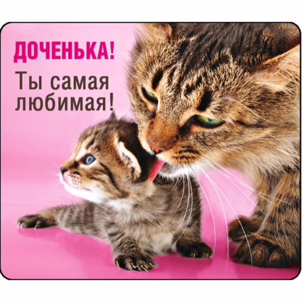 любимая доченька