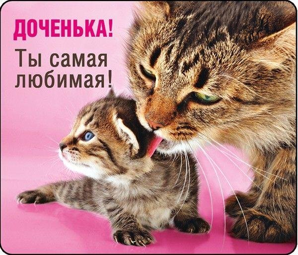 любимая дочка