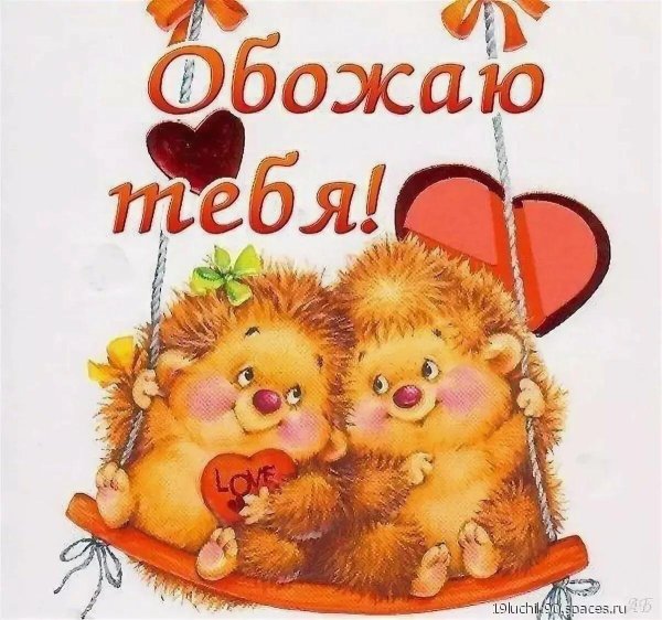 ежики любовь