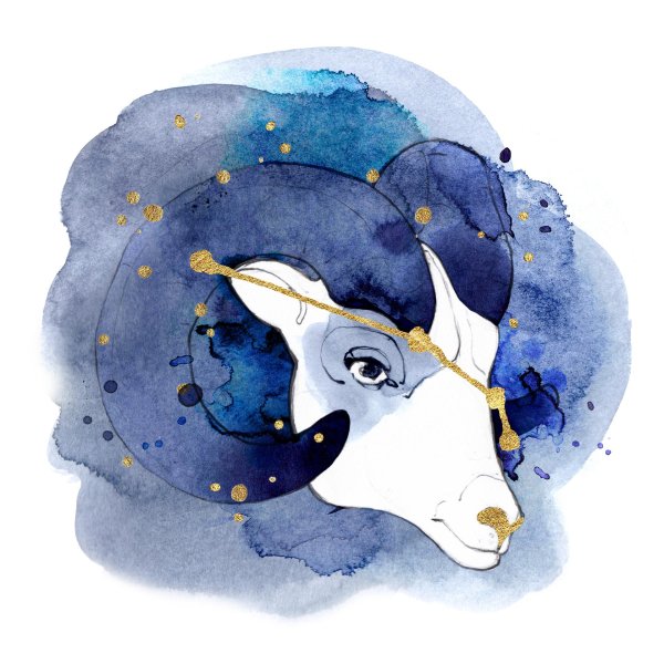 созвездие козерога capricorn