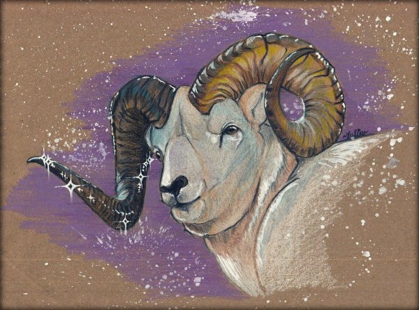 Овен знак зодиака