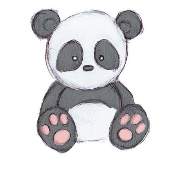 рисунок панда