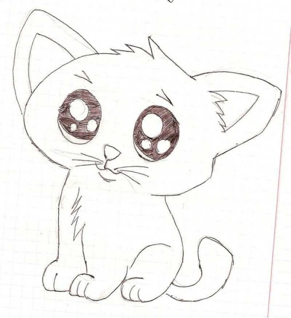 рисунки котов для срисовки