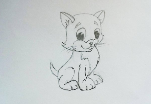котенок рисунок карандашом