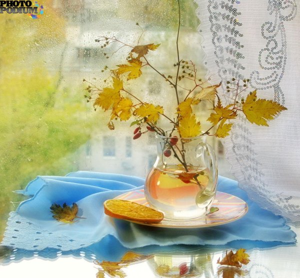 осеннее утро открытки