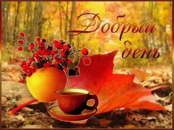 доброго дня осени