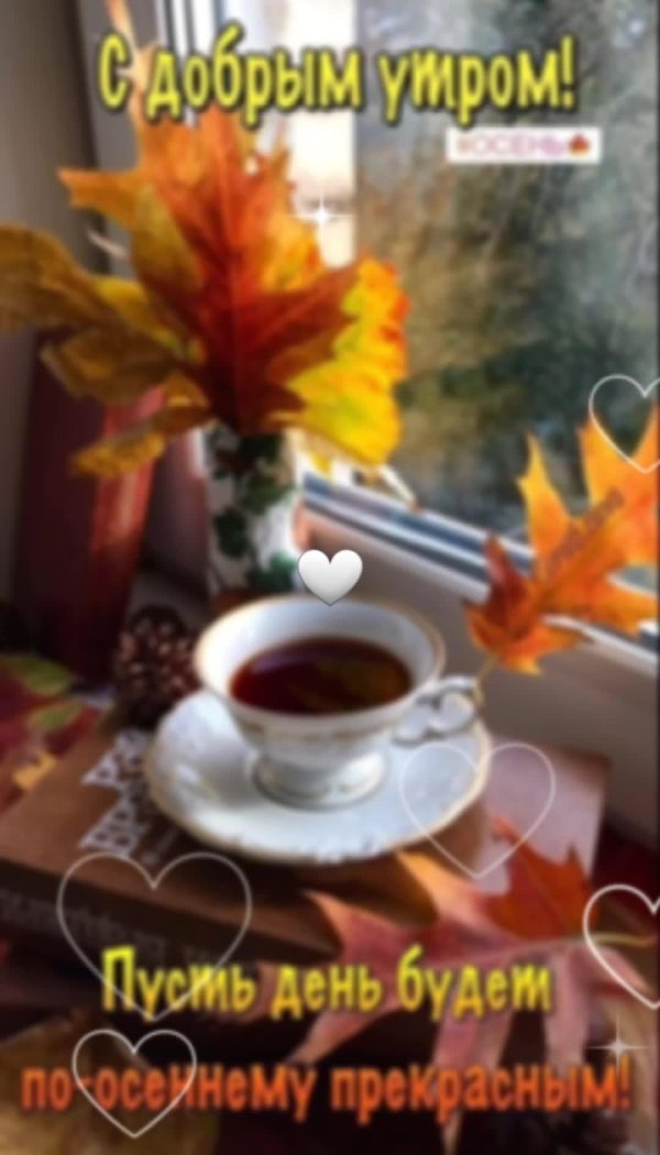 теплого осеннего утра