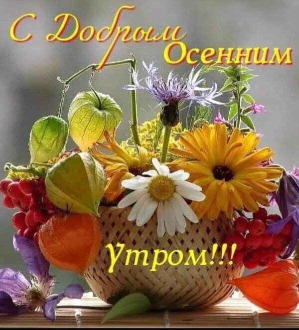 с добрым осеннем утром
