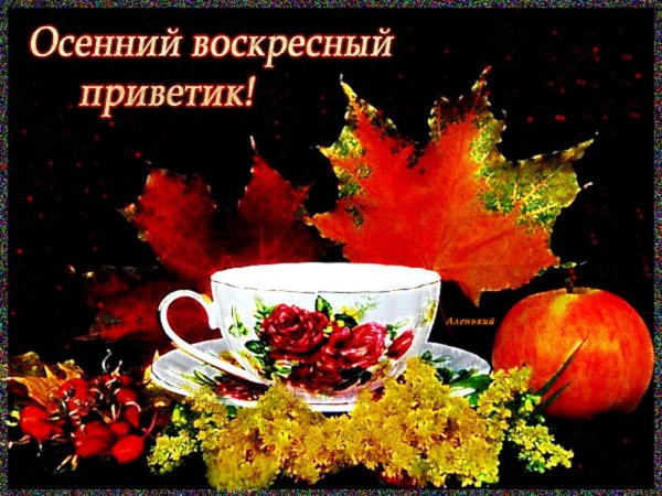 октябрьский осенний приветик