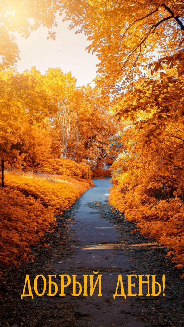 осенняя природа