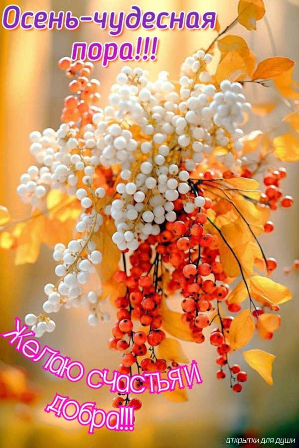 осень чудесная пора