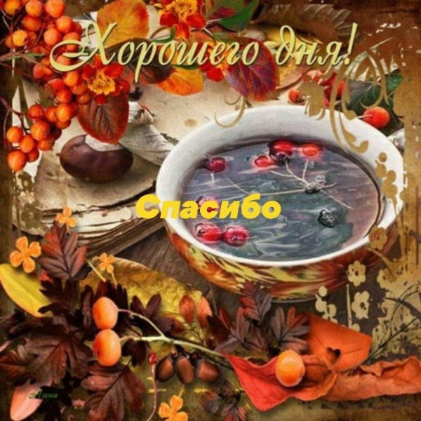 прекрасного осеннего дня