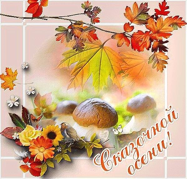открытка осенняя