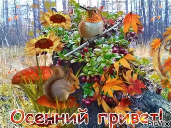 осенний привет