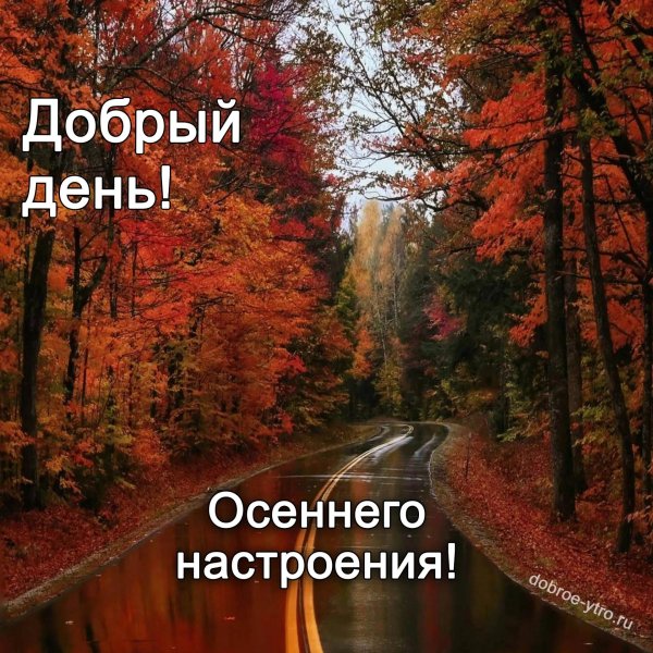 доброго осеннего дня