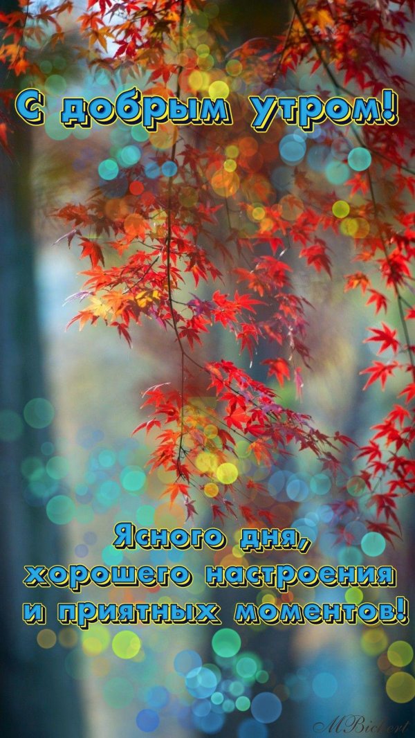 доброе осеннее утро хорошего настроения