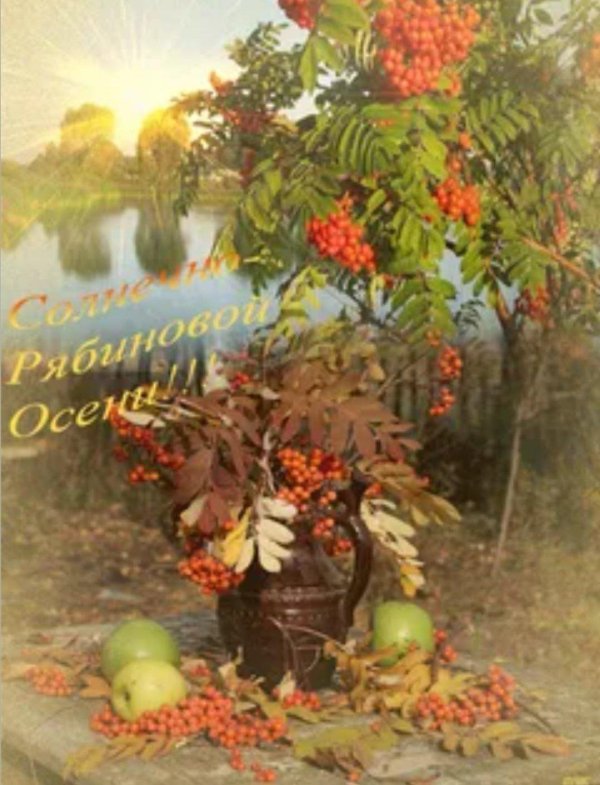 рябина осенняя