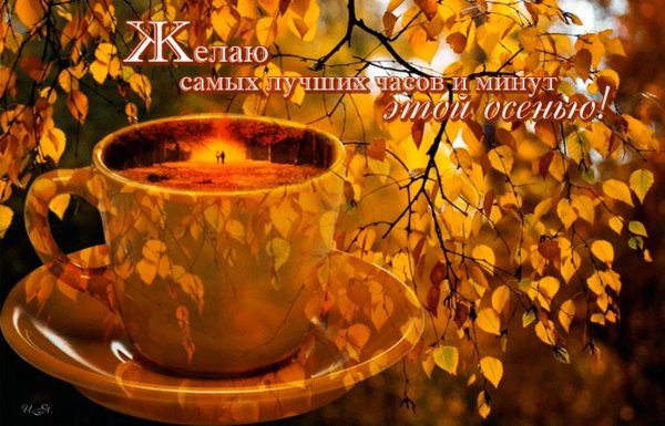 осеннего утра