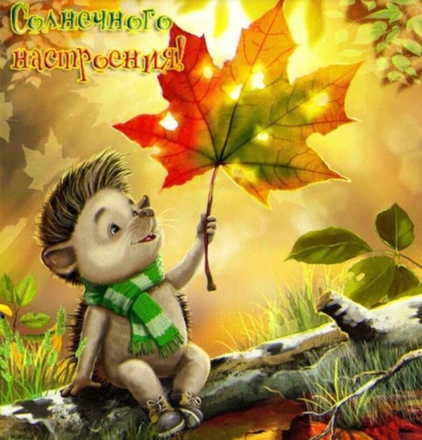 хорошего осеннего дня и отличного настроения