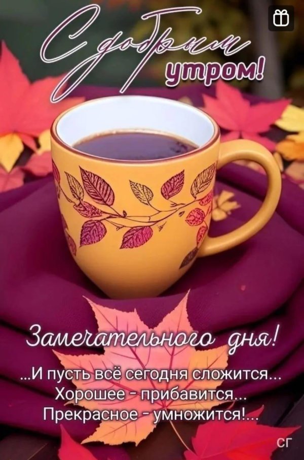 утро доброе осеннее и хорошего дня