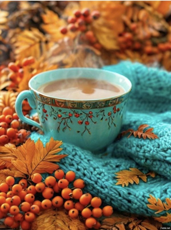 осеннее утро доброе