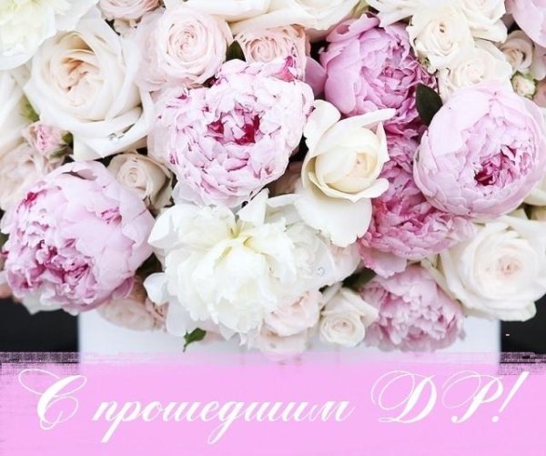 пиона букет